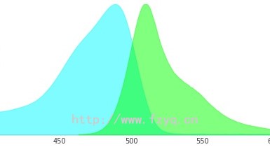 mEGFP綠色熒光蛋白的激發光和發射光